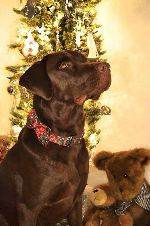 Lionheart glory Christmas Plaid Dog Collar Adjustable Soft Dog Collar with Bowtie, Pet Gift Dog Collars Bow for Small Medium Large Dogs...