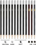 Professional Charcoal Pencils Drawing Set - 13 Pieces Neutral, HARD, SOFT, 14B, 12B Charcoal Pencils for Drawing, Sketching, Shading, Artist Penci...