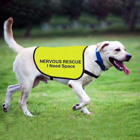 Rescue Dog Jacket Vest Nervous Rescue Space Dog Vest Dog Walking Slogan Warning Vest (Nervous Rescue Space-Medium)...