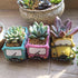 Green Bus Succulent Planter Pots, Small Plants Pot with Drainage Hole, Flower Pots Plant Containers for Home Indoor Outdoor Garden Decoration Pot...