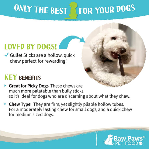 Raw Paws Beef Gullet Sticks for Dogs, 6-inch, 10-ct - Free-Range Cows raised without Antibiotics or Added Hormones - Gullet Sticks for Small Dogs ...