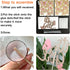 ALISSAR New Double Sided Rose Gold Butterfly Baby Shower Cake Topper Set, It's A Girl Cake Topper and 16 Pieces Pink Butterflies Cupcake Toppers f...