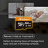 MMOMENT 64GB Micro SDXC Card, A1, UHS-I, U3, V30, Class10 Compatible, Read Speed Up to 95 MB/s,Write Speed Up to 35 MB/s, SD Adapter Included...