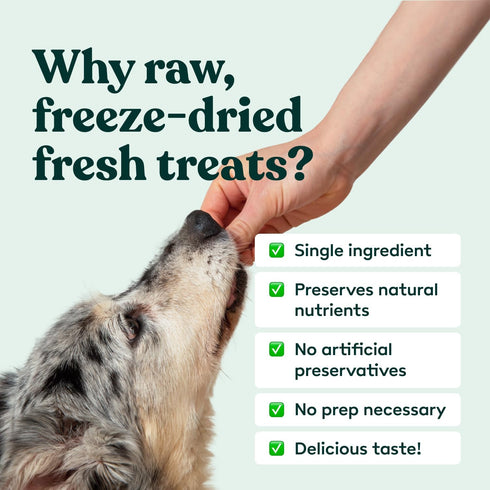 Freeze Dried Dog Treats - Beef Liver - Raw Single Ingredient Beef Liver Dog Treats for Snacks, Training, Dog Food Toppers - All Natural, Healthy D...