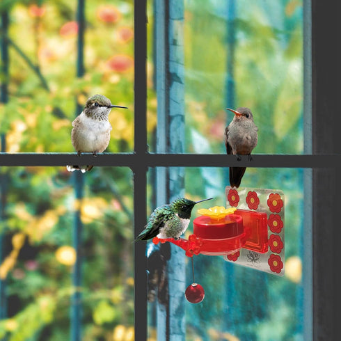 Window Hummingbird Feeder, 2 Pc Handheld Hummingbird Feeders, Small Window Hummingbird Feeders for Outdoors, Hummingbird Feeder Window with Cleani...