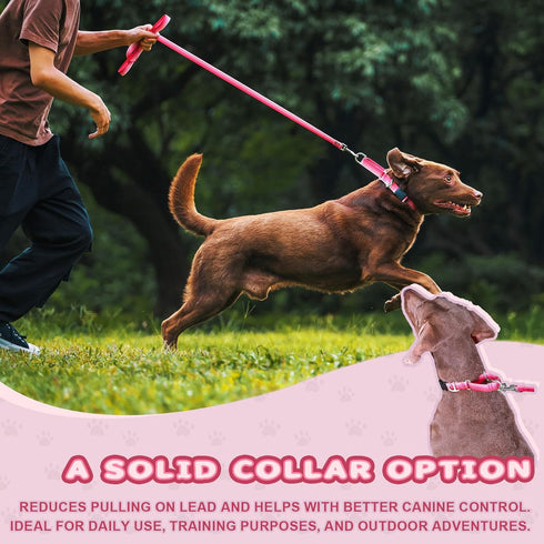 Martingale Dog Collar Pink Light-Reflective Polyester Collars for Dogs Whippets, Greyhounds, Saluki, American Bully, No-Pull No-Escape Safety Trai...