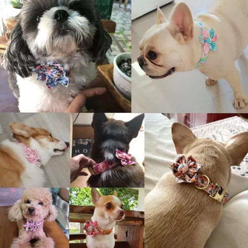 Beirui Cute Girl Dog Collars for Small Medium Large Dogs, Multiple Floral Patterns Female Pet Dog Collars with Flower for Wedding Holiday(M:Neck 1...