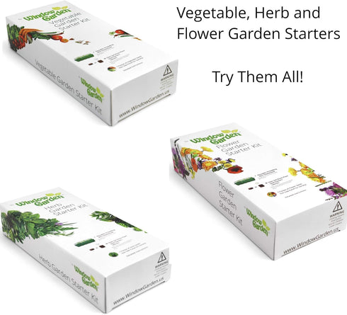 Window Garden - Sage Herb Kit - Grow Your Own Food. Germinate Seeds on Your Windowsill Then Move to a Patio Planter or Vegetable Patch. Mini Green...