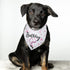 Dog Birthday Bandana Dog Birthday Girl Happy Birthday Dog Bandana for Girls Pet Accessories for Dog Lovers Birthday Bandana for Large Dog Girl Dog...