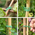 Green Soft Twist Tie Tomato Plant Tie TPR Garden Supply, for Supporting Plants and Home Organizing (65.6 feet/20 Meters)...