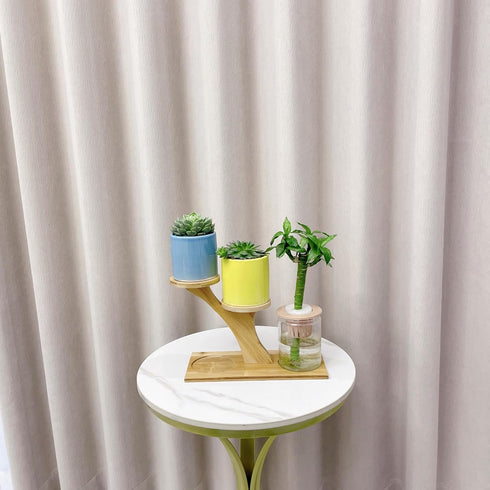 Window Sill Plant Shelf?Desk Desktop Bamboo Plant Stand?Table Succulent Plant Stand for Home, Office, Living Room, Bedroom Decoration...