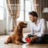 Peppy Pet Ball for Dogs, Smart Interactive Dog Toys Dog Ball with Led Flash Lights Active Rolling Ball for Large Dogs USB Rechargeable Wicked Dog ...