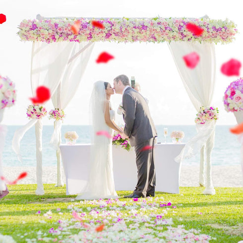 4500 Pack White Rose Petals,Artificial Roses Flower Petals for Romantic Night,Valentine's Day and Weddings...