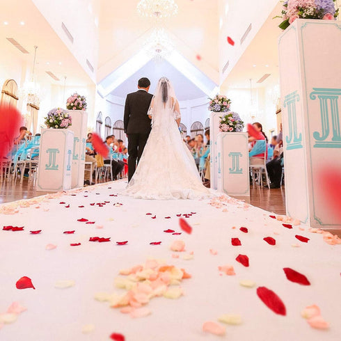 4500 Pack White Rose Petals,Artificial Roses Flower Petals for Romantic Night,Valentine's Day and Weddings...