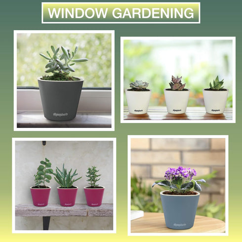 Window Garden – Aquaphoric Self Watering Mini Planter Pots (3 Pack) – Grow On Indoor Sill. Perfect for Potting Small Plants, Herbs, African Violet...