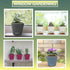 Window Garden – Aquaphoric Self Watering Mini Planter Pots (3 Pack) – Grow On Indoor Sill. Perfect for Potting Small Plants, Herbs, African Violet...