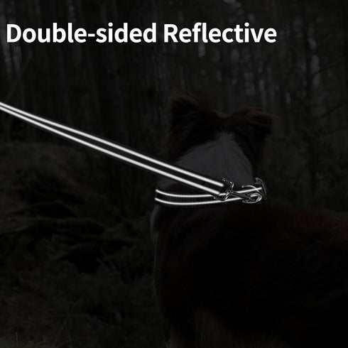 Double-Sided Reflective Nylon Dog Leash, 4 FT/5 FT/6 FT, Soft Padded Handle Heavy Duty Dogs Leashes with D Ring for Medium and Large Dogs Walking ...
