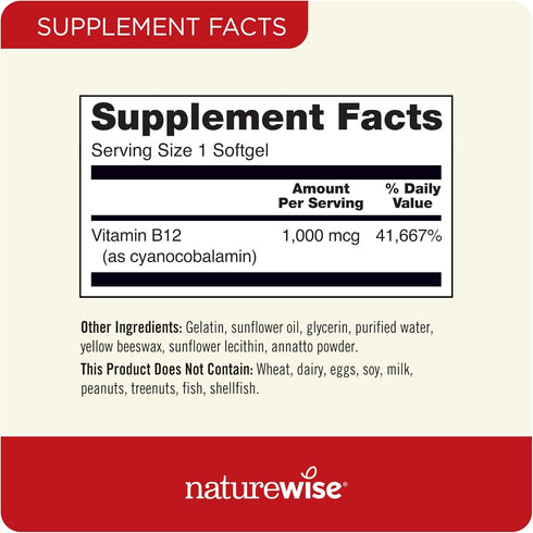 NatureWise Vitamin B12 1000 mcg - B12 Vitamin Supplement for Supporting Energy Levels, Mental Clarity, Nervous System Health - Easy-To-Swallow, Gl...
