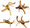 Hamiledyi Driftwood for Aquarium,Natural Spider Wood Reptile Branches Fish Tank Log Ornament Aquarium Trunk Decoration 4 Pcs?8-10inch?...