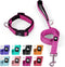 IVY&LANE Reflective Dog Collar and Leash Set,Adjustable Neoprene Padded Dog Collars, Breathable Nylon Pet Collar for Small Medium Large Dogs, 5FT ...