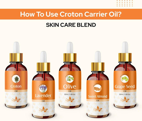 Crysalis Croton (Codiaeum Variegatum) Oil - 0.51 Fl Oz (15ml)...