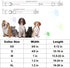 Dog Collar Big Dills Dog Collar Pet Collar Dog Summer Collar Holiday Dog Collar Girl or Boy Pet Dog Collar Adjustable Dog Collar for X-Large Dogs...