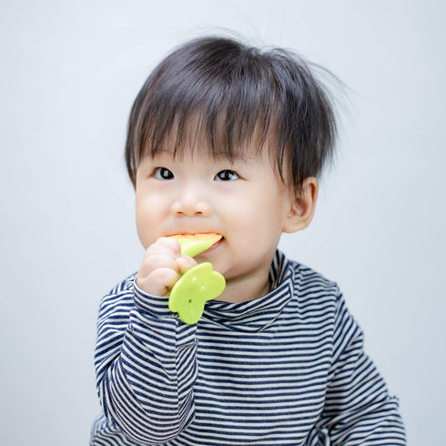 Medical-Grade Teething Toys for Babies 0-6 6-12 12-18 Months - Teethers with 2 × Baby Fruit Feeders and 4 × Baby Teether - BPA Free/Freezer Free -...