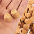 Size #4 Tapered Cork Plugs for Small Bottles and Test Tubes (0.6 x 0.47 x 0.5 in, 100 Pack)...