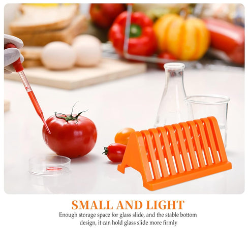 Biological Specimen Slides Holder 2pcs Microscope Slides Staining Rack Glass Slide Holder Lab Sample Slide Storage Shelf for Basic Biology Lab Sci...