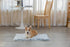 PJYuCien Throw Blanket for Dogs & Cats - Fluffy Fleece Calming Pet Throw Blanket, Small Size 16in x 24in, Super Soft and Warm for Indoor, Machine ...