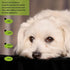 Elevate Your Pet's Seasonal Style with Playful Panache: with adorable beautifully printed Dog Shirts featuring Hilarious Printed Patterns for Airy...