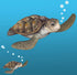 Sea Turtle Wall Decal ~Ocean Undersea Animal Tortoise Wall Sticker for Kids Room Decor, Boys Girls Toddler Baby Nursery Bedroom, Playroom, Bathroo...
