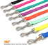 Waterproof Dog Leash, 5/6 FT Durable Odor-Proof Dog Leashes with Strong Metal Hooks Fits Small Medium or Large Dogs (Mint Green, 5FT - 3/4 inch Wi...
