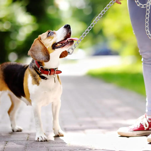 Heavy Duty Dog Leash 6ft Metal Pet Lead with Stainless Steel Links for Medium Large Dog (Black)...