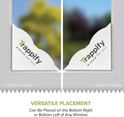 Trappify Fly Trap Indoor: Window Fly Traps for Home | Fruit Fly Traps for Indoors, Gnat Traps for House Indoor | Disposable Fly Trap with Sticky A...