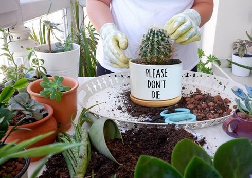 Funny White Ceramic Engraved Mini Succulent Cactus Planter Pot, 1 Pack 3.5 inch Succulent Indoor Flower Plant Pots with Bamboo Tray for Home Offic...