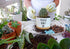 Funny White Ceramic Engraved Mini Succulent Cactus Planter Pot, 1 Pack 3.5 inch Succulent Indoor Flower Plant Pots with Bamboo Tray for Home Offic...