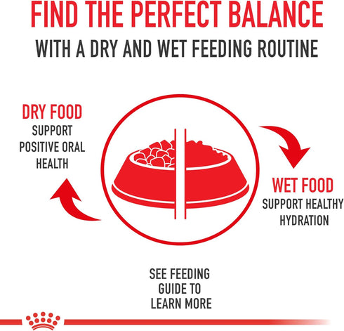 Royal Canin Yorkshire Terrier Adult Breed Specific Wet Dog Food, 3 oz can (4-pack)...