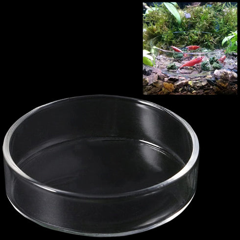 60 mm/65 mm Redondo Aquário Vidro Camarão Alimento Tigelas de Prato Reptiles Água Alimentos Prato Tigela AlimentadoraAilinda 65MM...