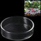 60 mm/65 mm Redondo Aquário Vidro Camarão Alimento Tigelas de Prato Reptiles Água Alimentos Prato Tigela AlimentadoraAilinda 65MM...