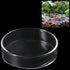 60 mm/65 mm Redondo Aquário Vidro Camarão Alimento Tigelas de Prato Reptiles Água Alimentos Prato Tigela AlimentadoraAilinda 65MM...