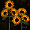Solar Sunflower Lights, 800mA Solar Garden Light with Real Looking Flowers Outdoor Waterproof Solar Stake Lights for Back Yard, Flower Bed, Pathwa...