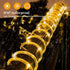 Solar Lights Rope Lights Solar Powered String Lights 40FT 120 LEDs 8 Modes Fairy Lights Outdoor Decoration Lighting for Garden Patio Party,Wedding...