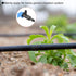 30 Pack Flag Dripper - Garden Irrigation System, Removable & Flow Control & Drip Emitter, Apply to Lawn Trees (2 Gallon Per Hour, Blue Black)...