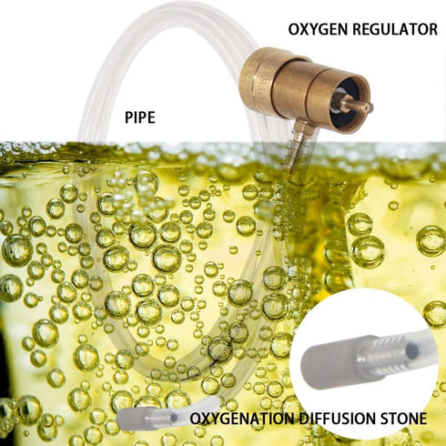 Joywayus Aeration Stone 0.5 Micron Stainless Steel Oxygenation Diffusion Stone 1/4" Barb for Home Brewing Wine Beer Soda...