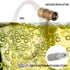 Joywayus Aeration Stone 0.5 Micron Stainless Steel Oxygenation Diffusion Stone 1/4" Barb for Home Brewing Wine Beer Soda...