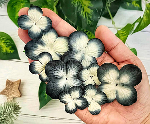 Handmade Hydrangeas Petals Flowers Mulberry Paper Flower Patch Scrapbooking Wedding DIY Craft Supplies Card Mini Artificial Paper Flowers (Black &...