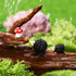 3Pcs Garden Miniature Accessories, Garden Kit, Garden Animals, Resin Miniature Figurines Dollhouse Accessories Micro Landscape Ornaments for DIY K...