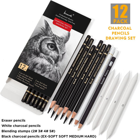 Charcoal Drawing Set -12 pc Black charcoal pencils, White Charcoal Pencils, Eraser Pencils, Blending Stumps for Drawing, Sketching, Shading, Artis...