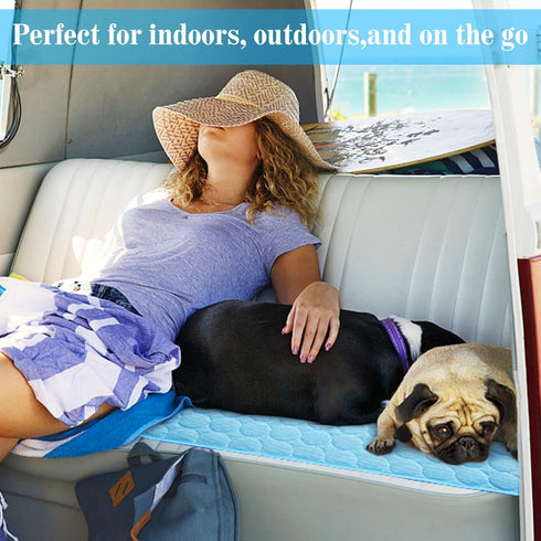 Dog Cooling Mat Washable Ice Silk Cooling Mat for Dogs Waterproof Bottom Summer Sleeping Pad Self Cooling Pad Blanket for Pets (40x28 in, Light Bl...